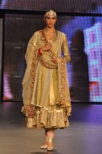 at Blenders Pride Fashion Tour 2011 Day 2 on 24th Sept 2011 (281).jpg